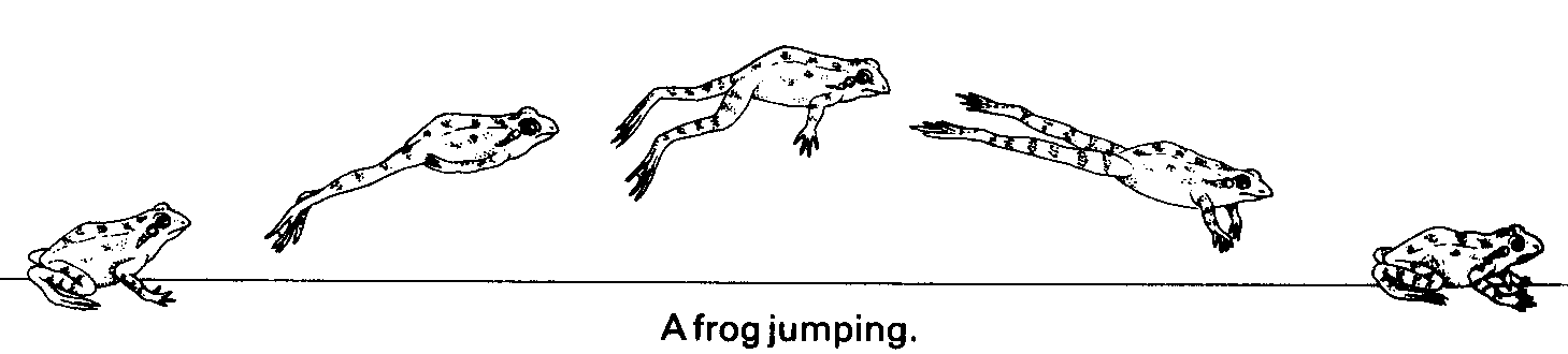 A frog jumping, with a fixed step size, from one point in the phase space into another.